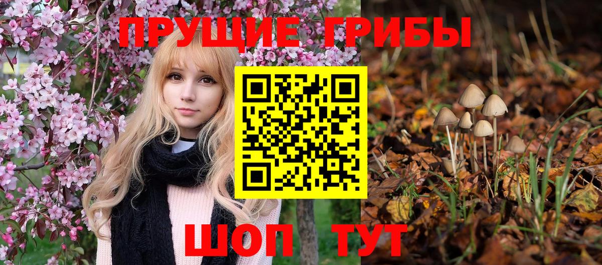Псилоцибиновые грибы мицелий Воркута