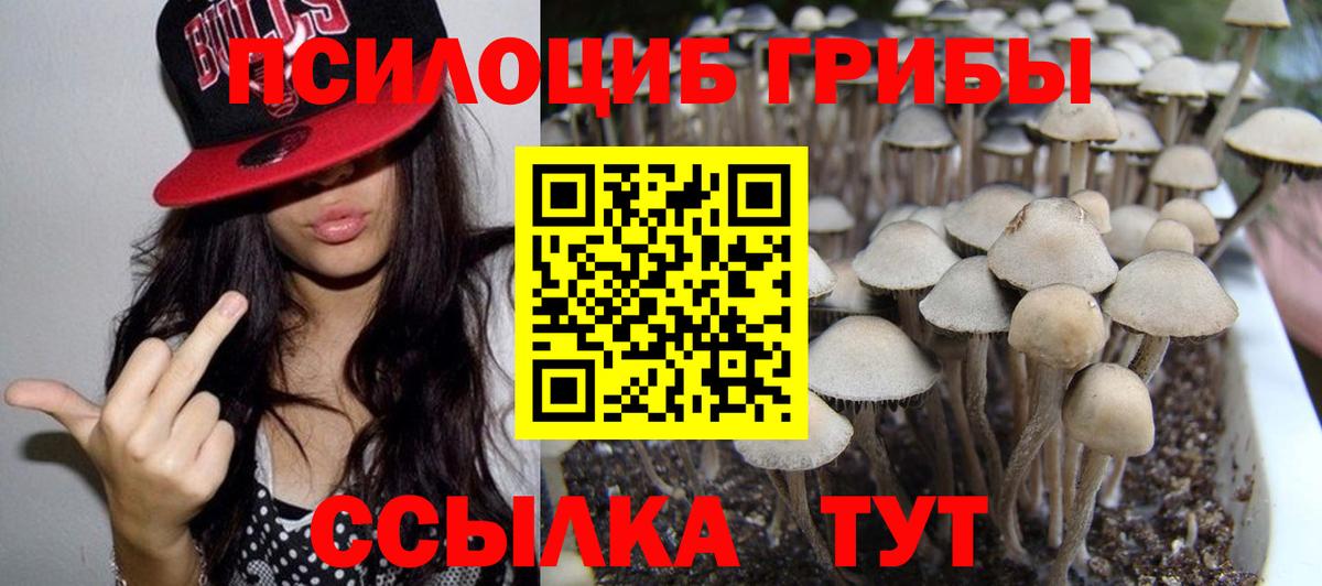 как найти   Галлюциногенные грибы GOLDEN TEACHER  Вход с VPN  Воркута 